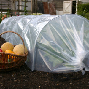 haxnicks giant poly easy tunnel