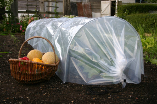 haxnicks giant poly easy tunnel
