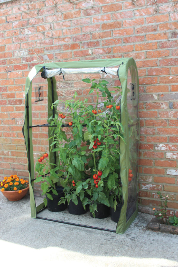 haxnicks tomato crop booster frame