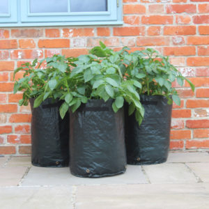 haxnicks potato patio planters
